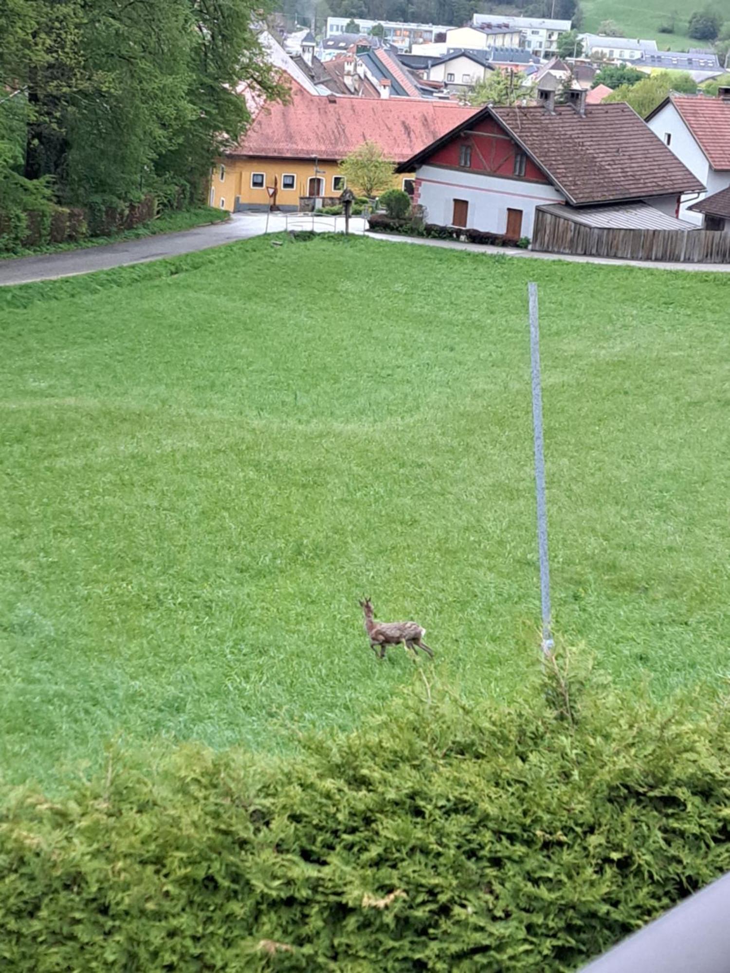 Apartmán Haus Am Schloss Bleiburg Exteriér fotografie